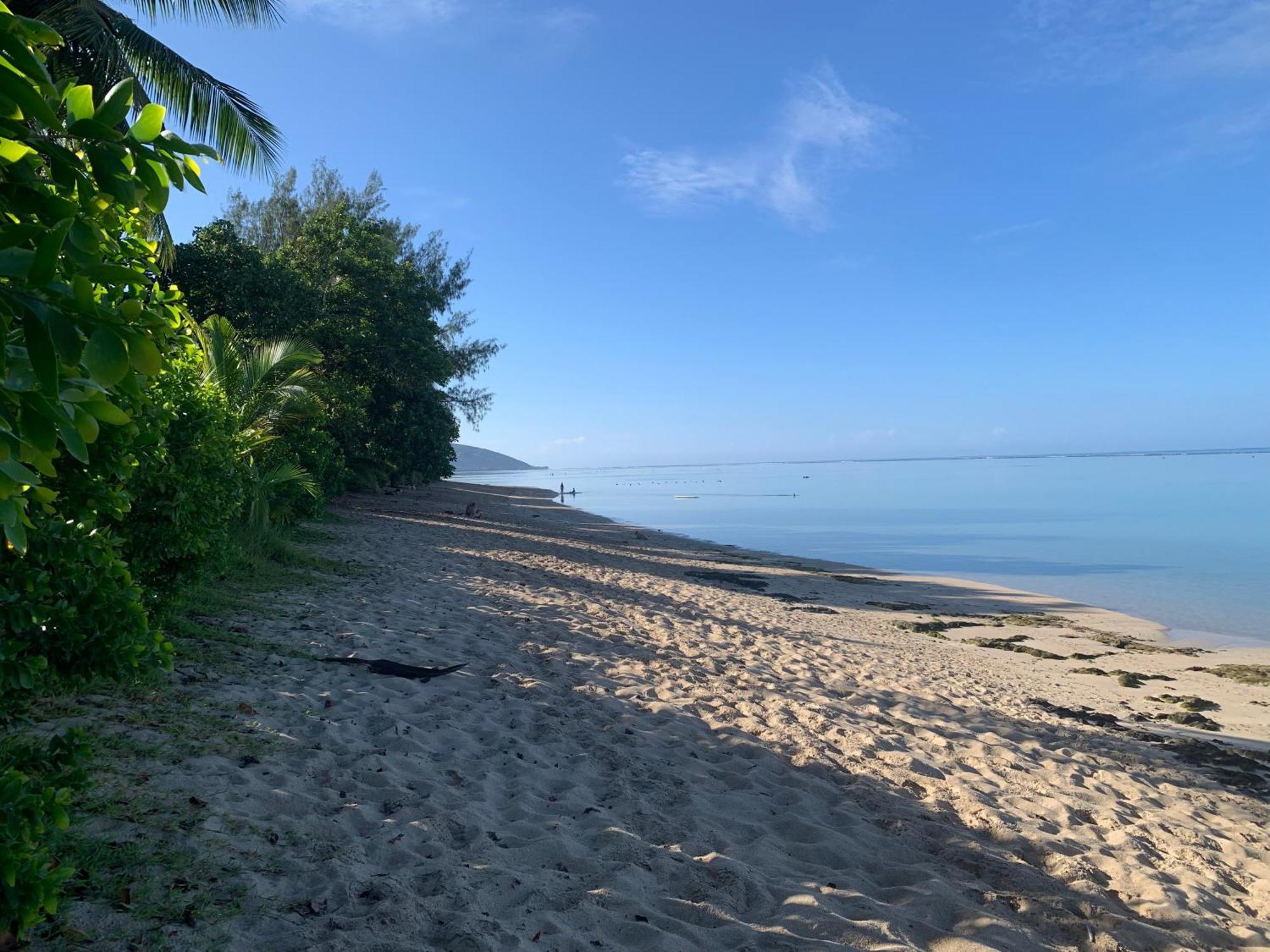 Fare Hotu Punaauia Bord De Mer 外观 照片